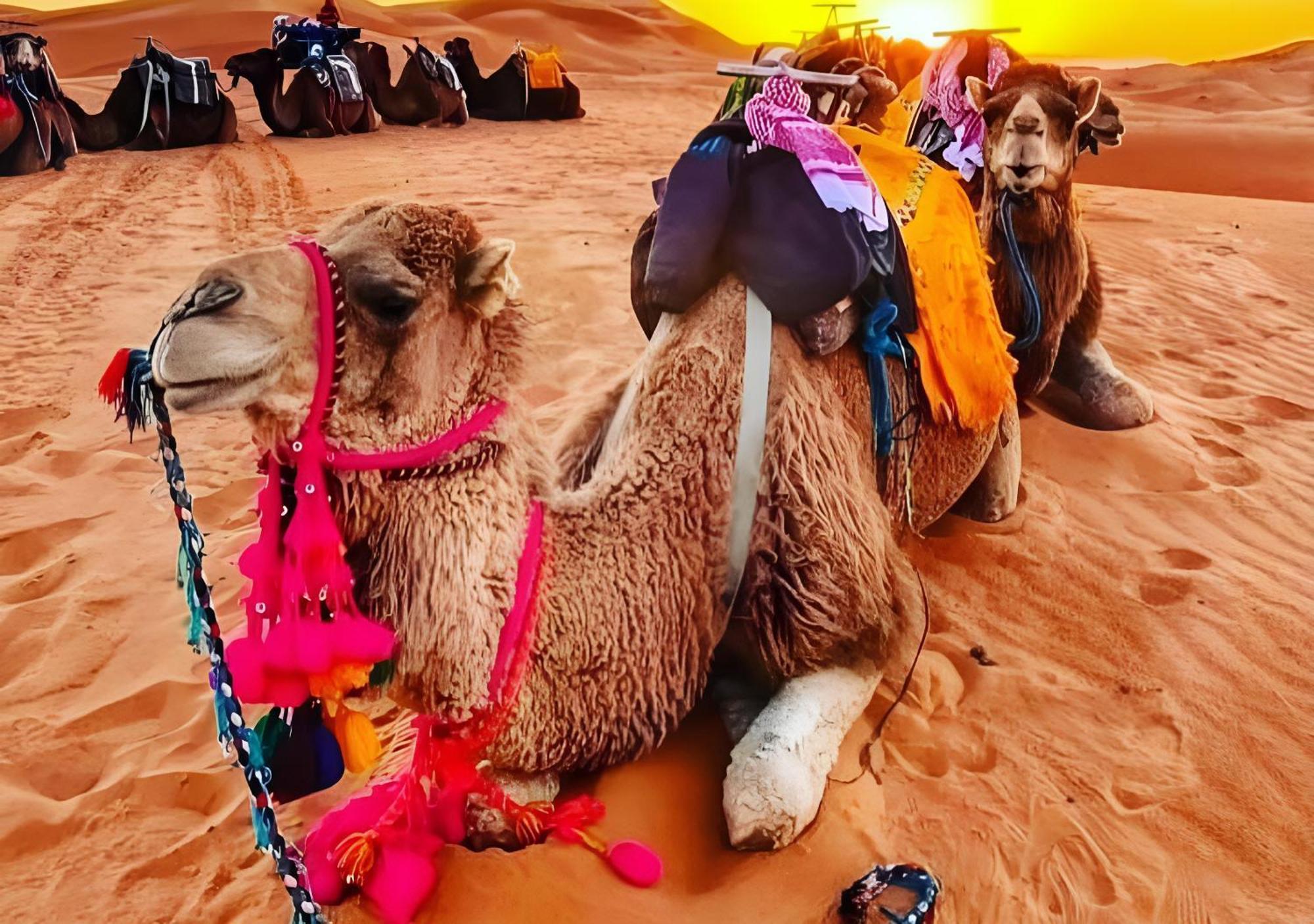Top Desert Luxury Camp Merzouga Εξωτερικό φωτογραφία